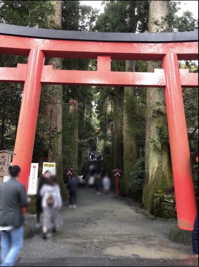 杉の大木に覆われた箱根神社の参道