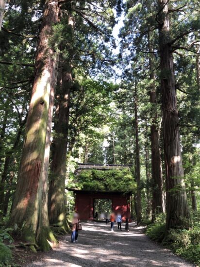 戸隠神社の隋神門と杉の大木