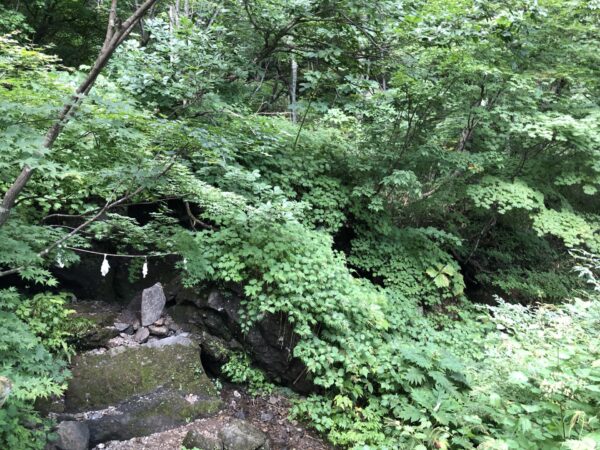 戸隠神社の参道からの風景