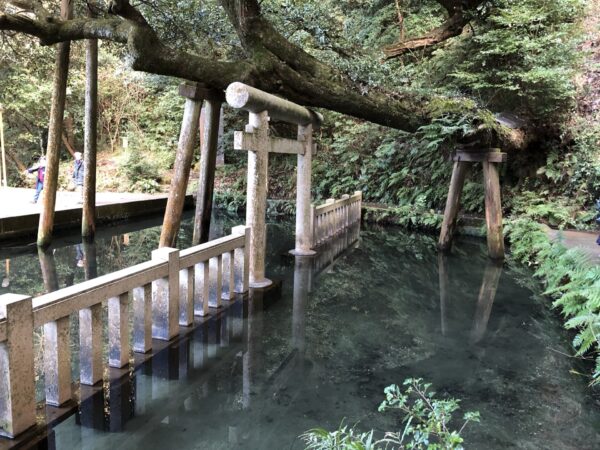 鹿島神宮の御手洗池