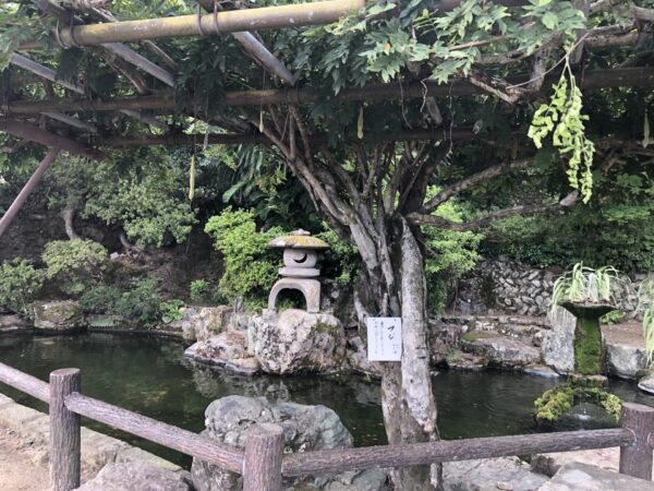 高津柿本神社の鳥居の横の池