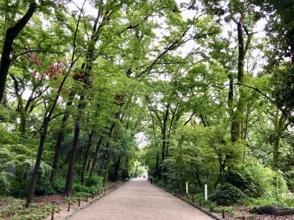 下鴨神社参道：糺の森