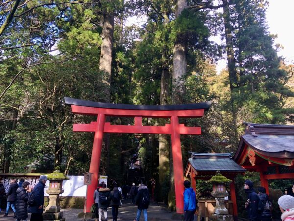 箱根神社、両脇に杉の大木がある参道