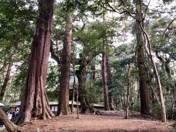 
鹿島神宮の奥宮手前の木々