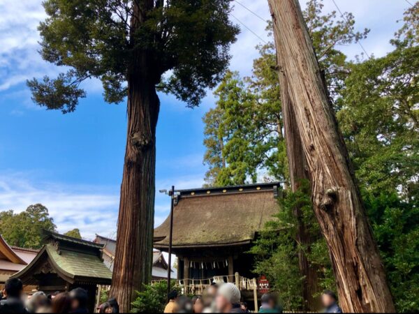 鹿島神宮の仮殿